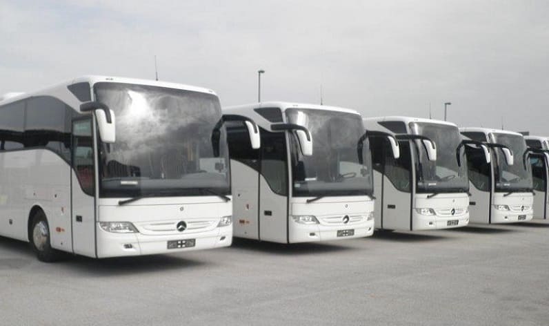 Coastal-Karst: Bus company in Koper in Koper and Slovenia