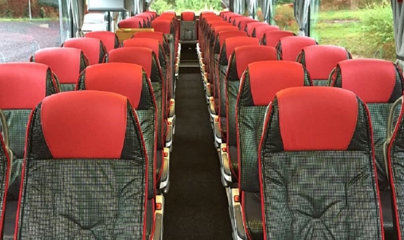 Italy: Coaches rent in Italy in Italy and Emilia-Romagna